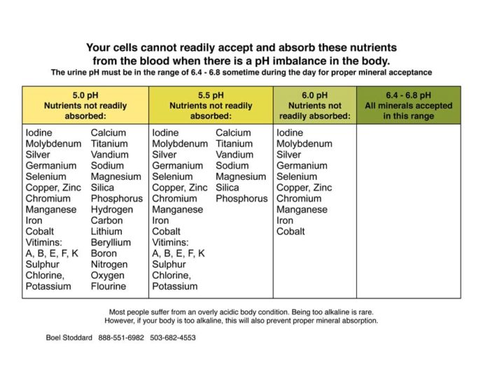 Mineral Absorption and pH balance Essential