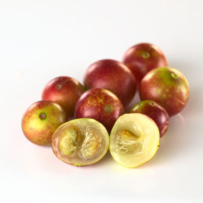 Camu Camu fruit